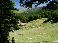 2026-06-20 Sopralluogo Trail Duchessa 049